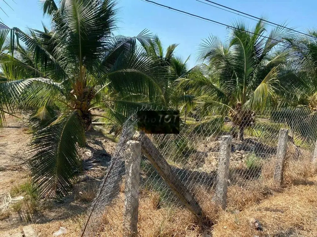 Chính chủ cần bán đất trồng cây lâu năm 1.436