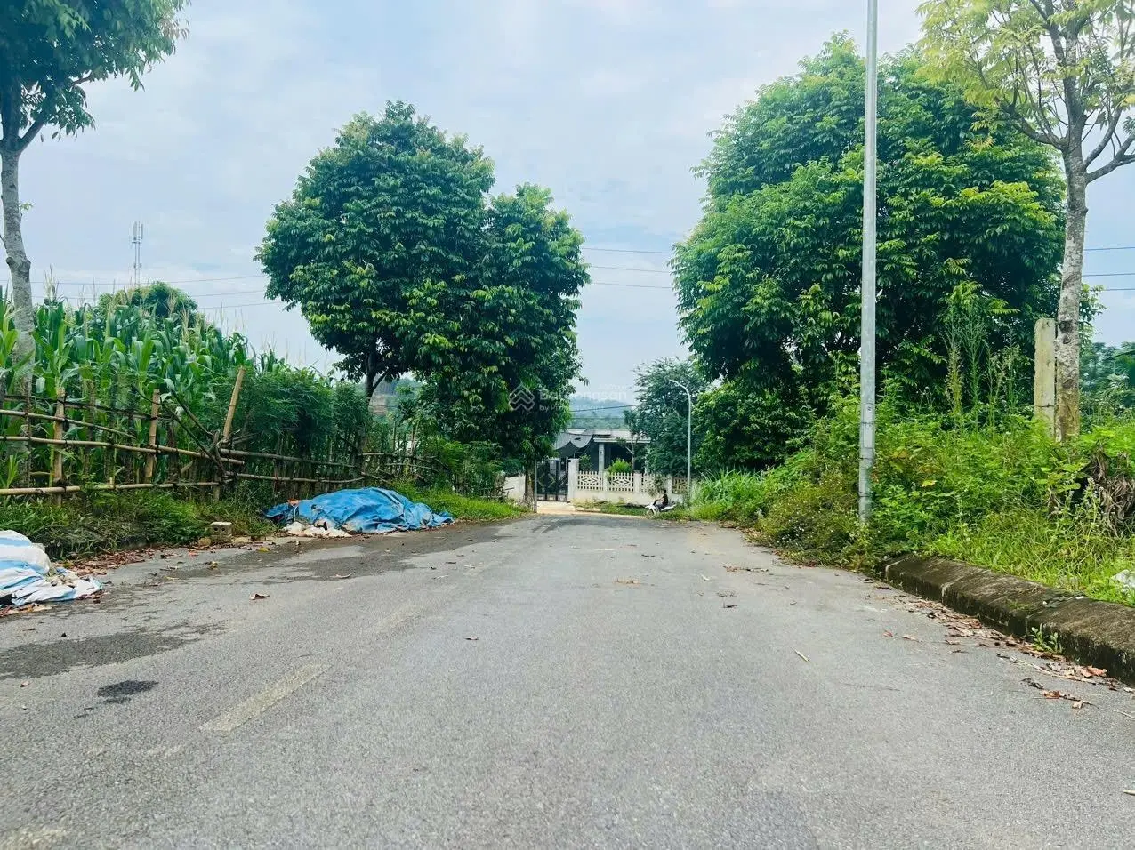 Cần bán đất tại trường Spinghill Đông Xuân Quốc Oai Hà Nội