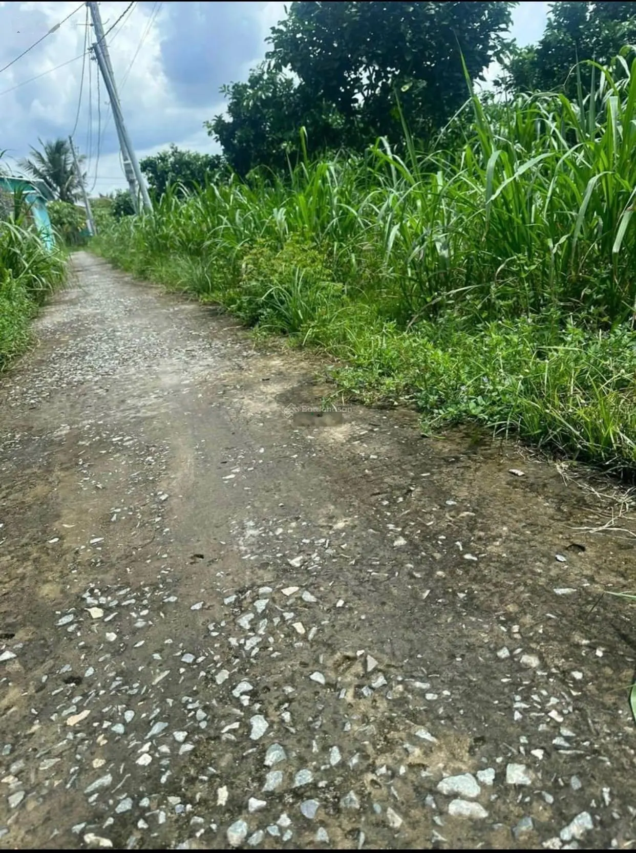 Bán Đất Đường Nguyễn Văn Dương Ngay Công Viên Võ Văn Tần , DT : 5 x 20 ( 100m2) , SHR , 800 TRIỆU