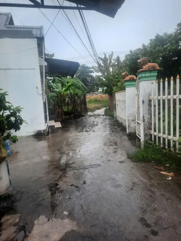 Cần Bán Đất Nền Tân Hội Vĩnh Long