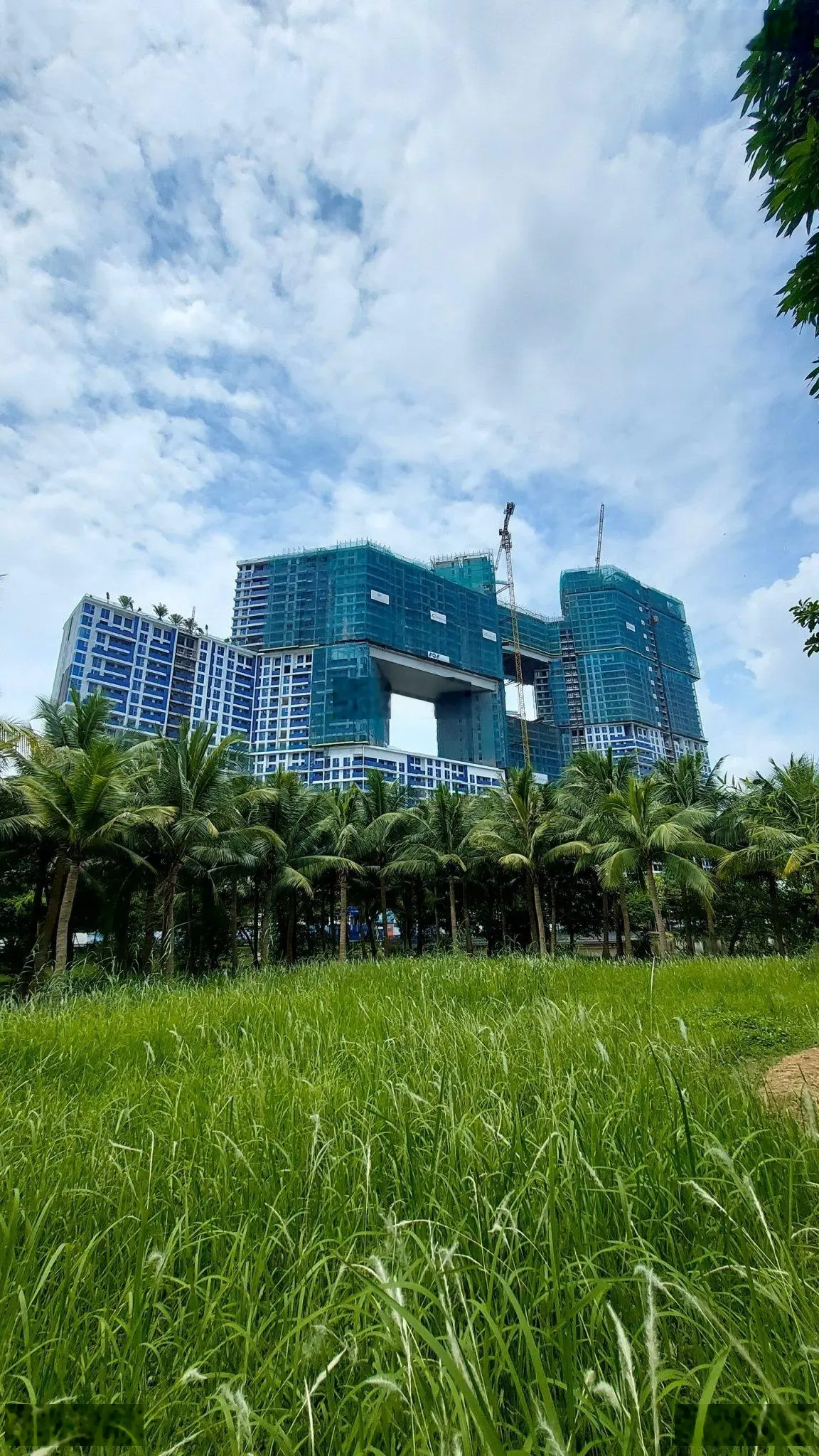 Căn hộ 2 phòng ngủ 2WC Sky Forest KĐT Ecopark, bán giá 4 tỷ 100 view Biệt Thự Đảo 73m2 sử dụng