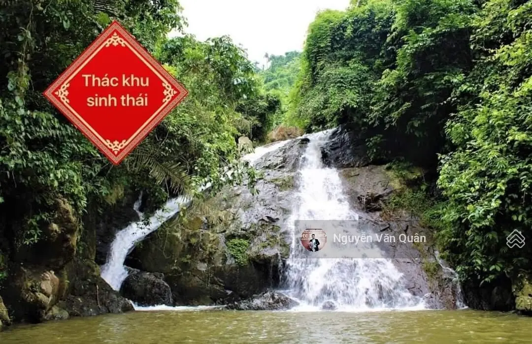Cắt lỗ 1.5 tỷ! Cần bán biệt thự 1000m2 full đồ bể bơi trong khu nghỉ dưỡng cao cấp Kỳ Sơn, Hoà Bình