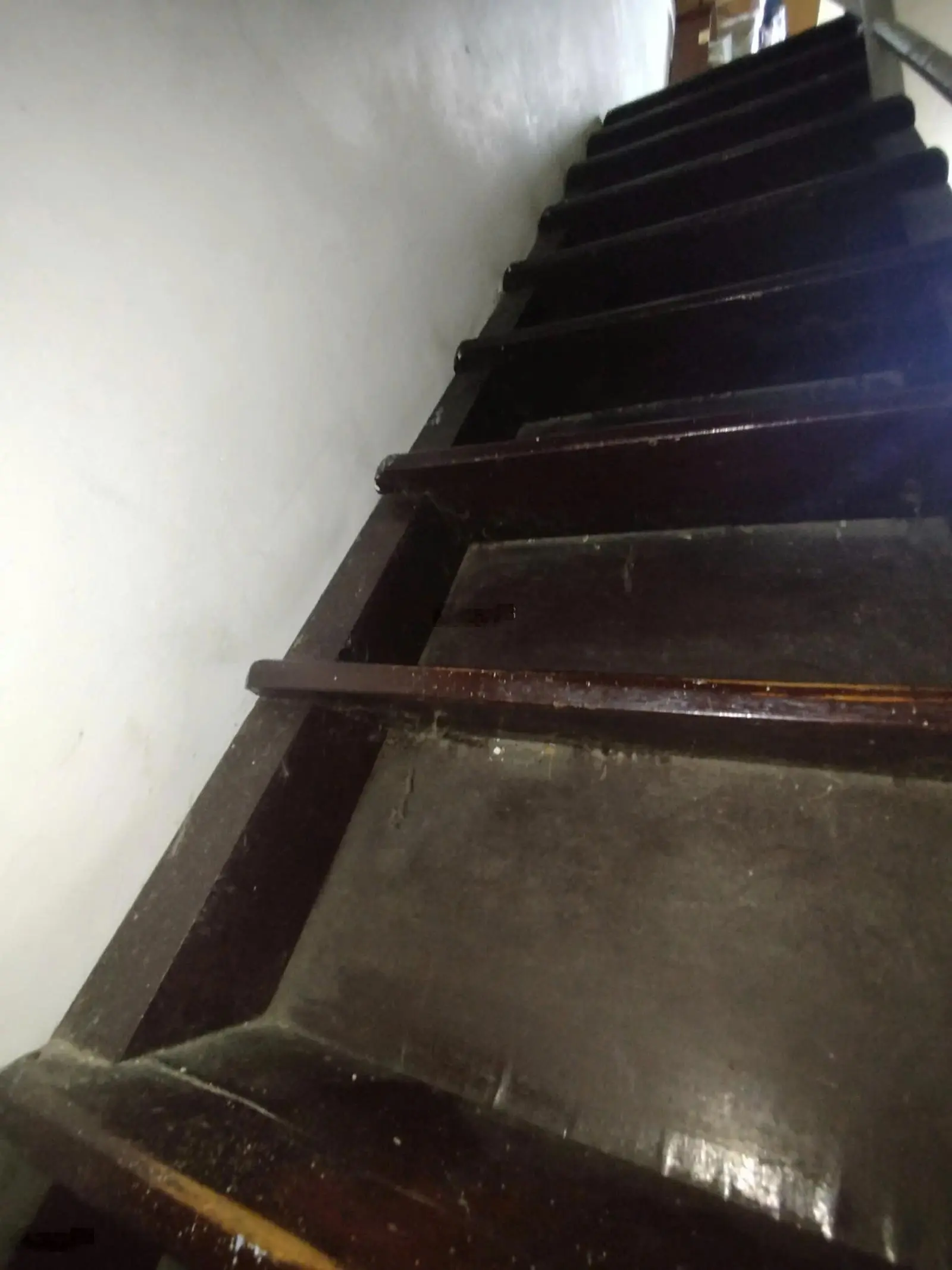 Bán gấp nhà riêng 3PN, 2WC, 45m2 tại An Bình, P5, Q5, HCM, giá 2,6 tỷ