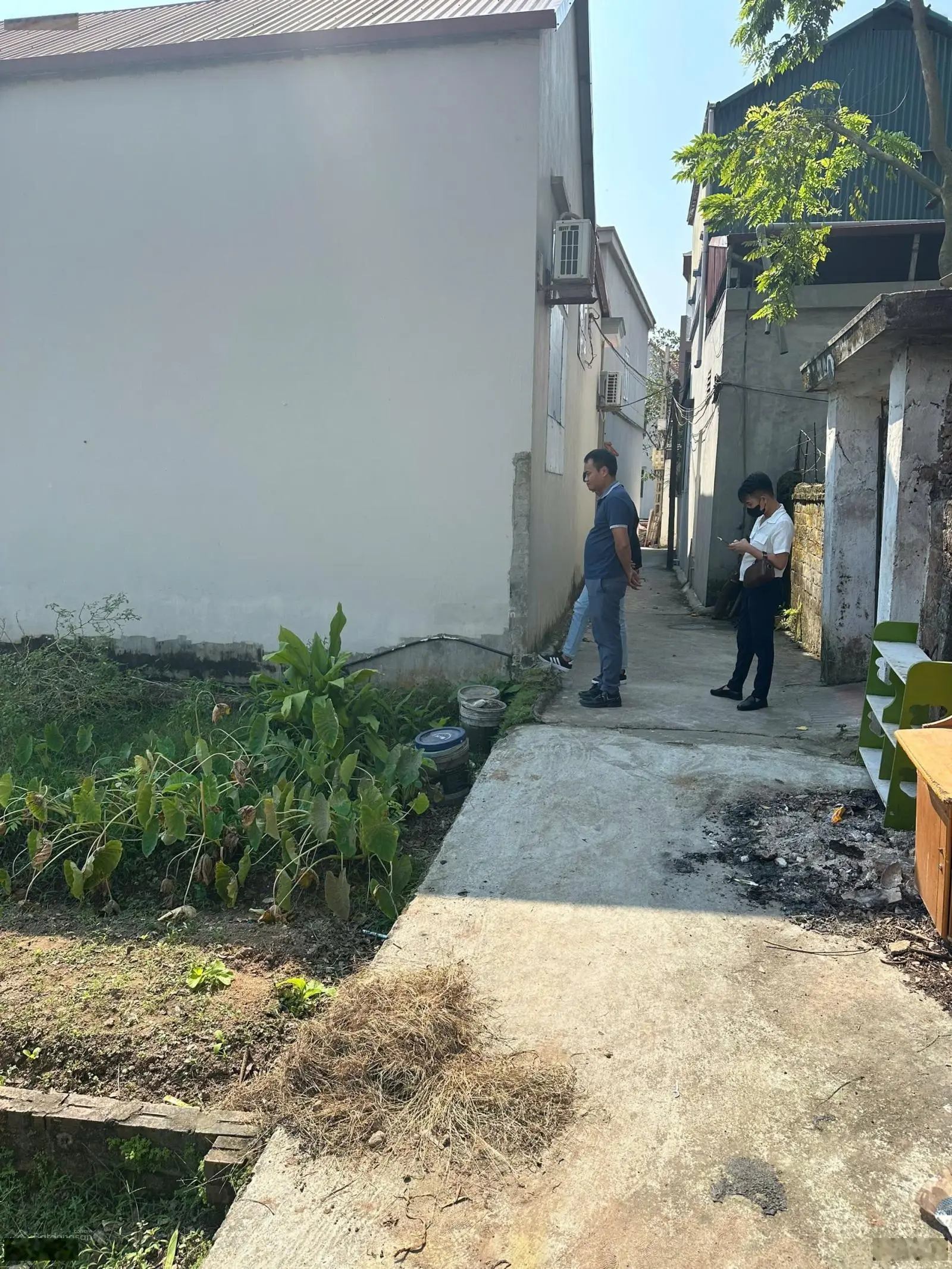 40m thị trấn Phúc Thọ đối diện Huyện ủy giá chỉ vài trăm triệu