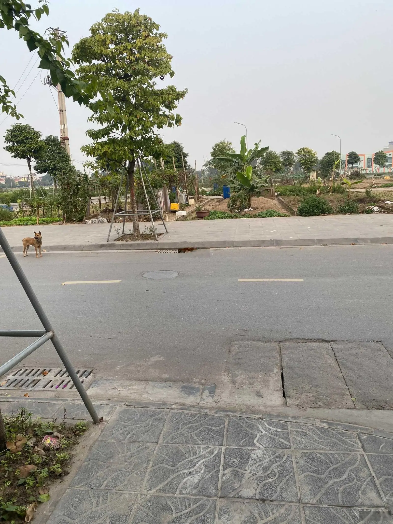 Chuyển nhượng đấu giá X2 Thái Bình - Mai Lâm - Đông Anh. Giá chỉ 120tr/m2