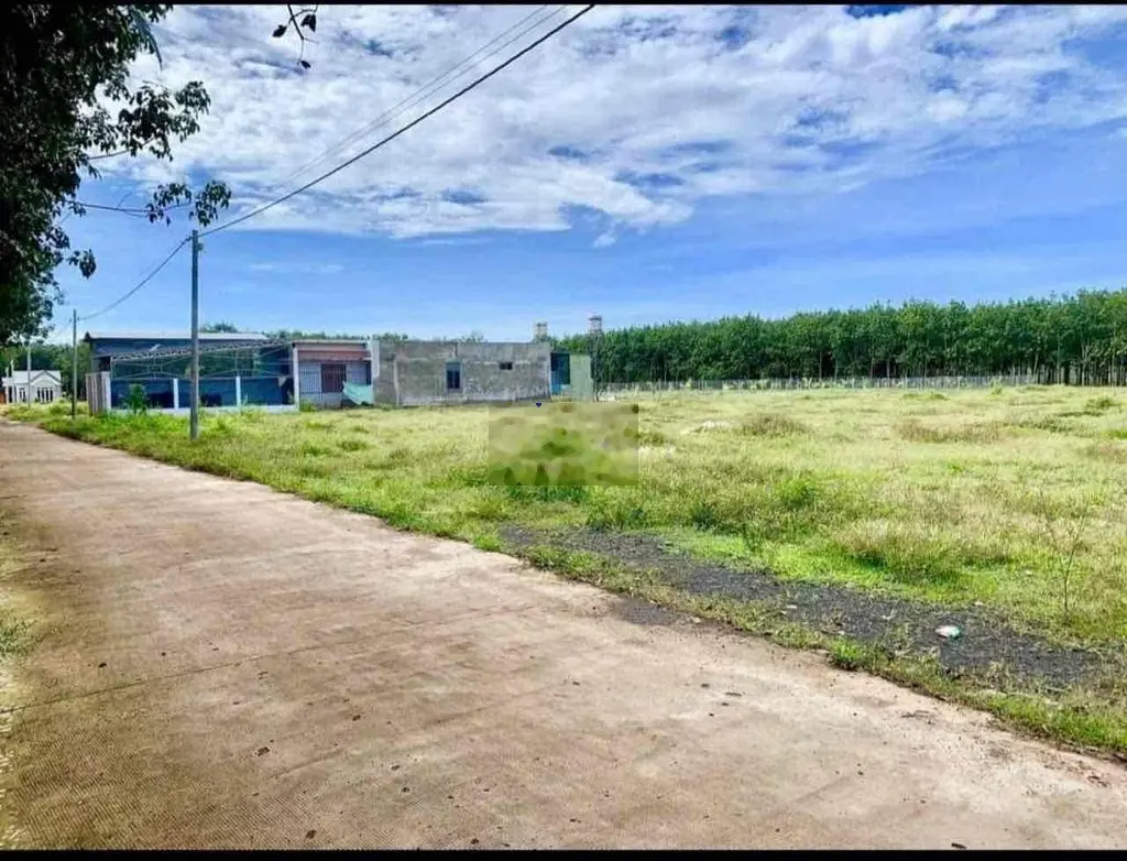 cần bấn gấp lô đất 1000m2 giá 190 triệu