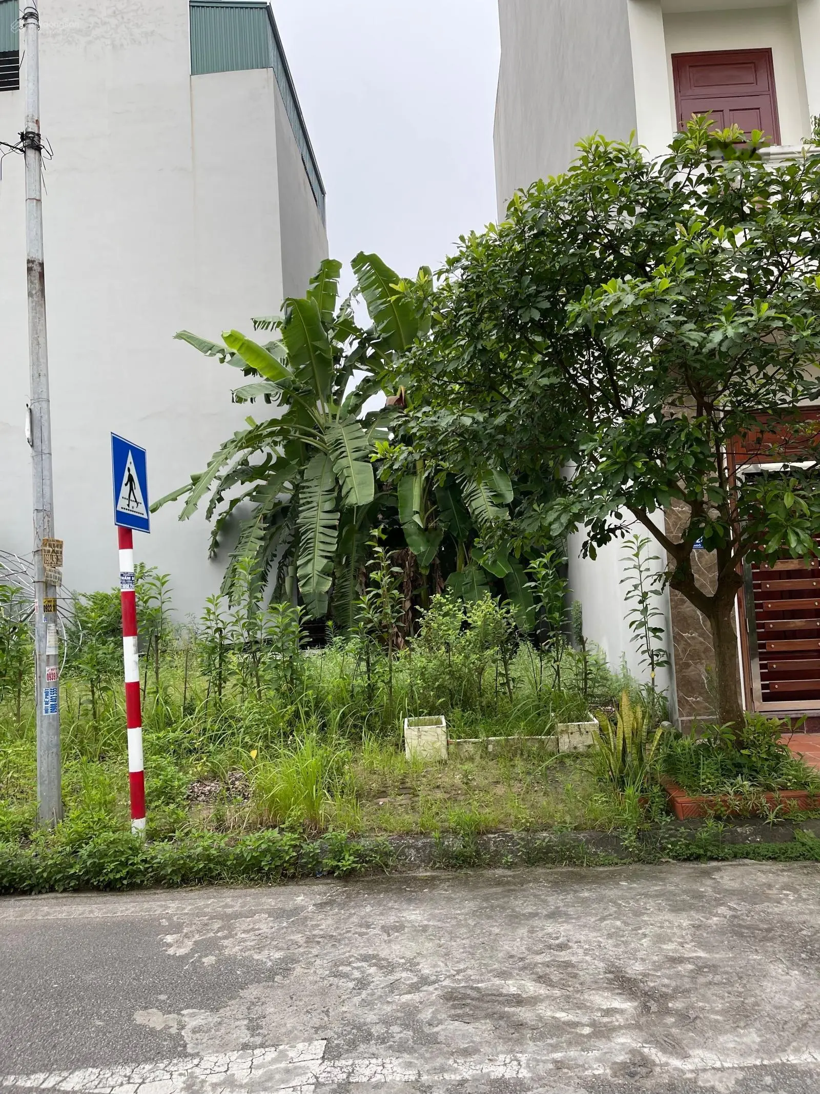 Bán lô đất tại Tứ Minh, Hải Dương. Diện tích 80m2, giá 3,1 tỷ