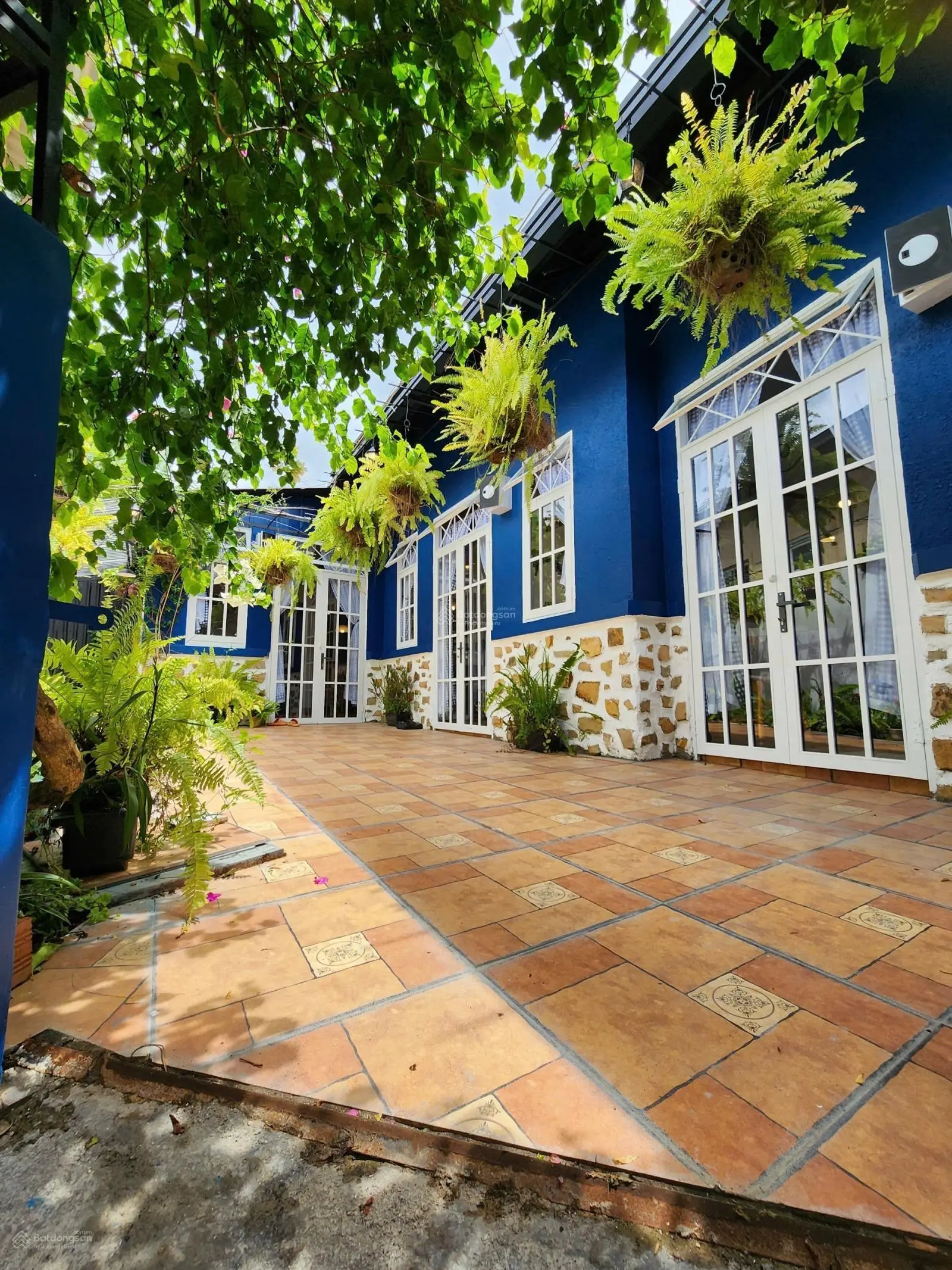 Nhà sân vườn trung tâm Đà Lạt, khai thác du lịch tốt, 137m2 (11x14), cách hồ 500m, giá 6.2 tỷ