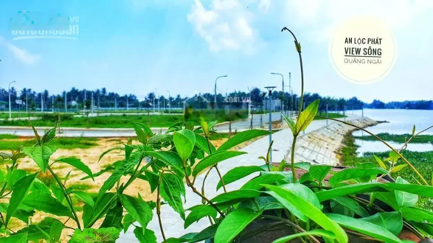 Chính chủ bán nhanh lô đất view sông khu dân cư An Lộc Phát, lô sạch đẹp, đã có sổ