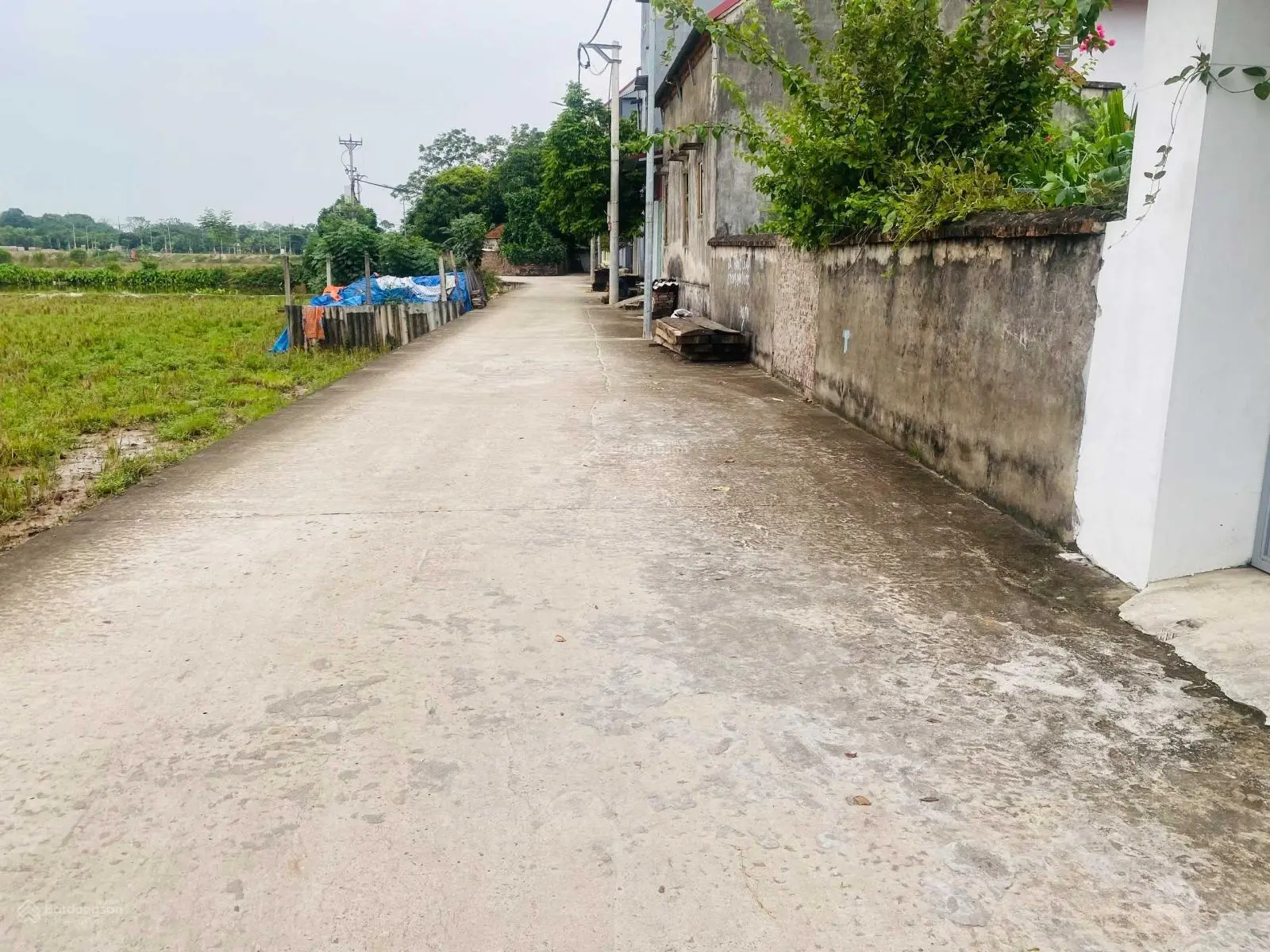Bán đất thôn Nghĩa Vũ - Dục Tú - Đông Anh. DT 103m2, lô góc, đường ô tô tránh, sát bìa làng