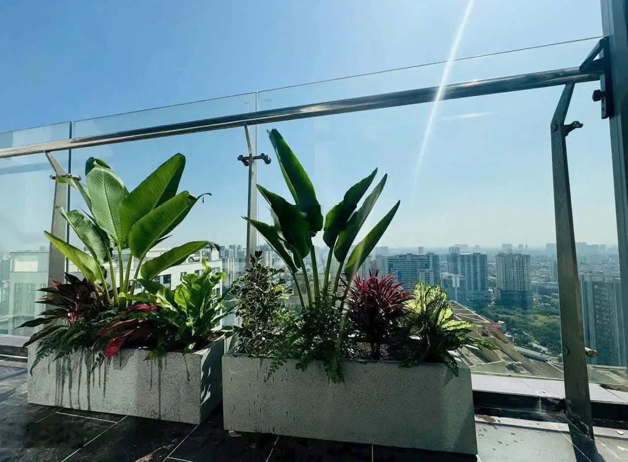 Bán căn 3pn 2vs 116m2 tại Diamond Flower Hoàng Đạo Thúy tầng cao trục 09 full NT sổ đỏ, giá 9,86 tỷ