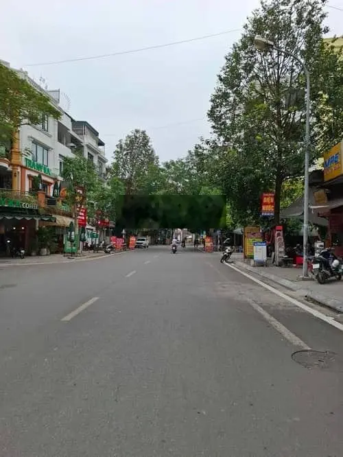 Thang máy, phân lô mặt phố, kinh doanh cực vượng