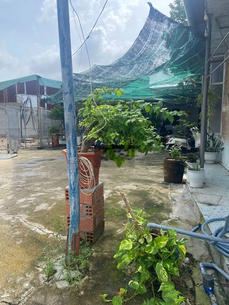 Cần bán đất thổ cư Kp Trung Tín, tt Tuy Phước