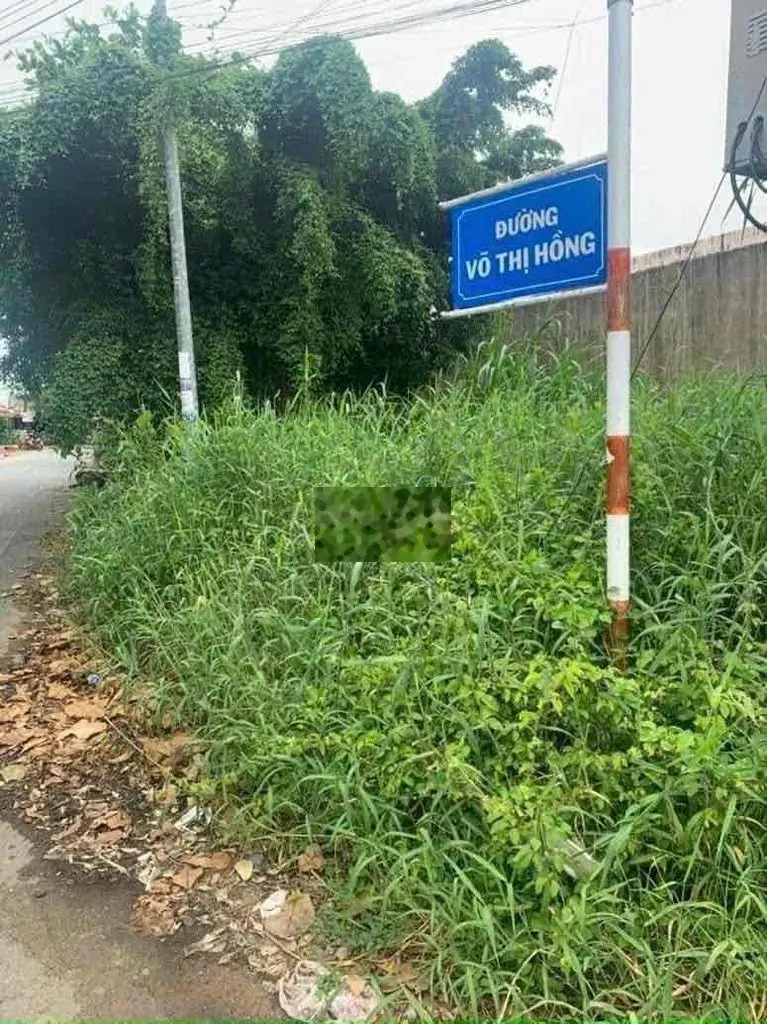 Bán đất đường Võ Thị Hồng
