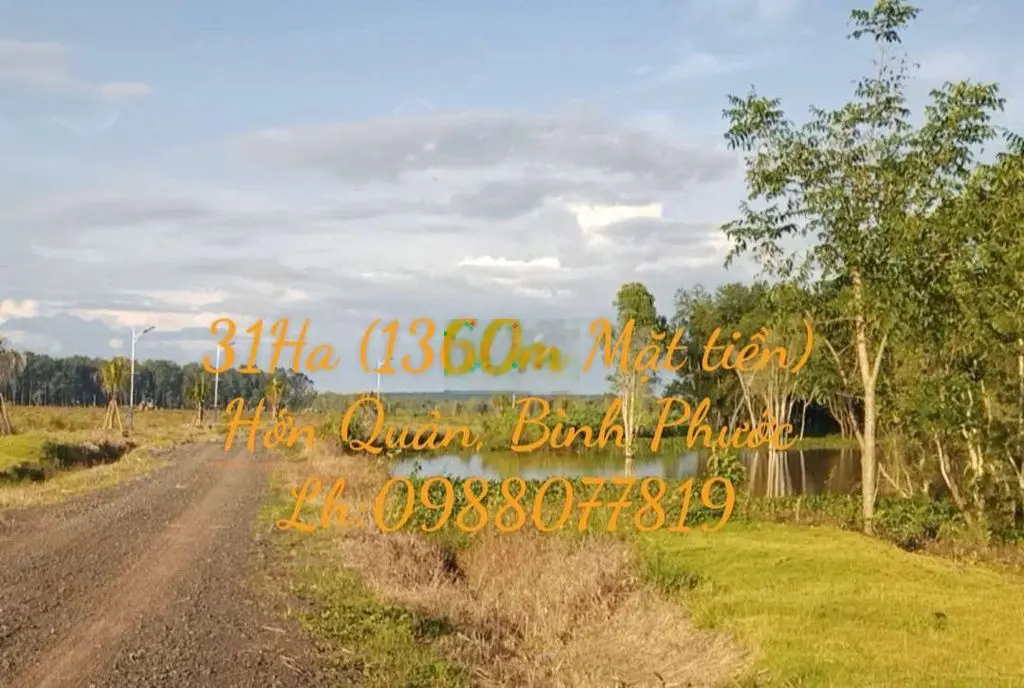 Bán 31Ha đất (View hồ) Hớn Quản, Bình Phước