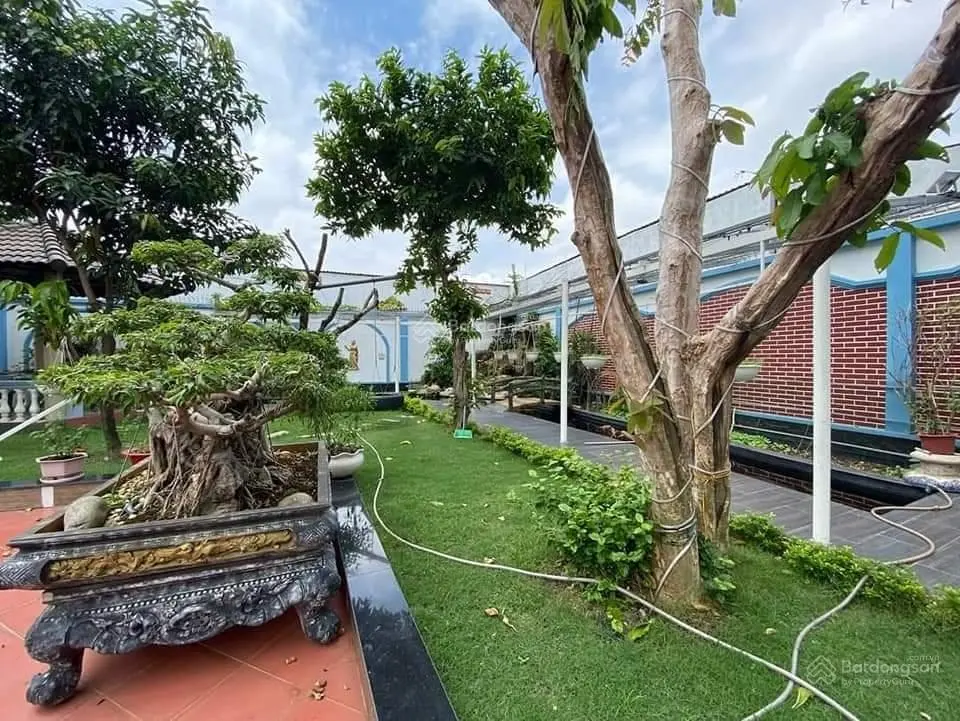Biệt thự sân vườn hồ bơi ngã 4 Hòa Lân 28*43m LH 0909 036 ***