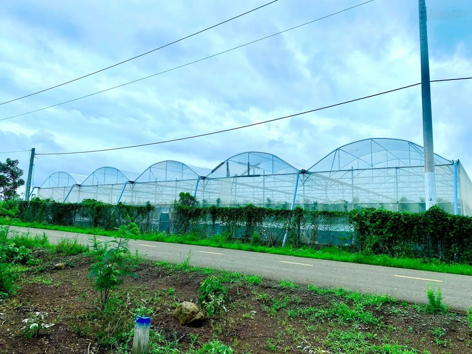 633 triệu/132m2. Mặt tiền 6,6m. Đất nền thổ cư khu công nghiệp Đất Đỏ