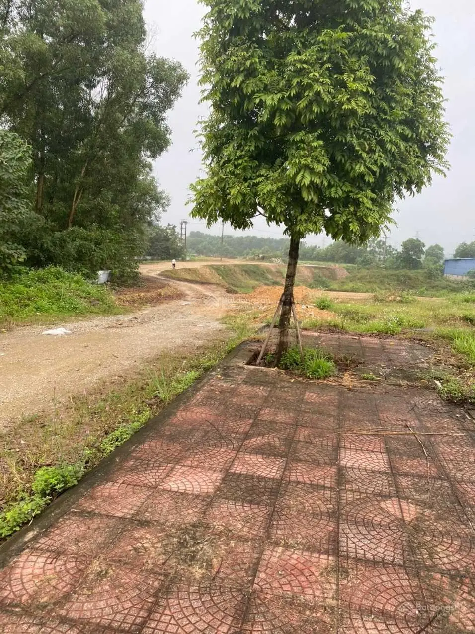 Tôi chính chủ lô đất OLK6.133 KĐT Mỏ Bạch Centrall Hill - Thiên Lộc, Tp Thái Nguyên, giá cực rẻ