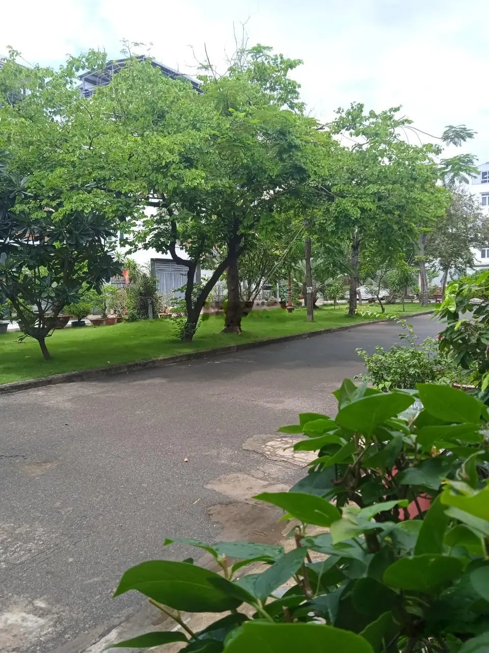 Siêu phẩm - bán căn biệt thự khu dân cư Văn Minh - Sông Giồng - 7x18m - trệt + 3 lầu - giá 25 tỷ
