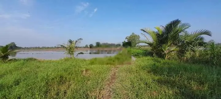 ĐẤT VƯỜN DỪA THỊ TRẤN BA TRI BẾN TRE