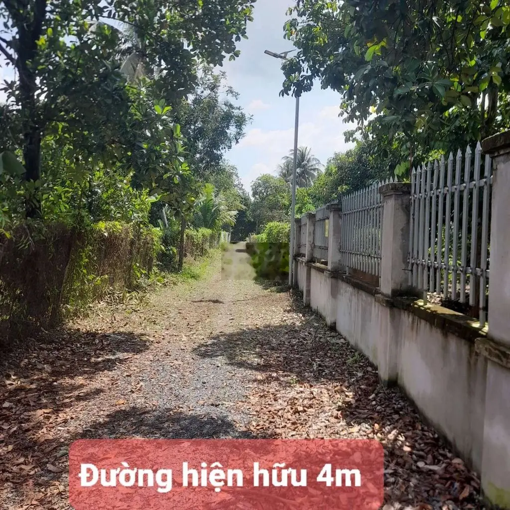 Vườn Trái Cây 1.680m2 giáp Thủ Dầu Một