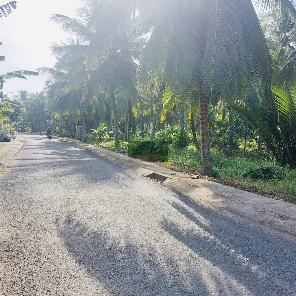 Cần Bán Nhanh Nhà Đất Tại Thị trấn Châu Thành, Châu Thành, Bến Tre