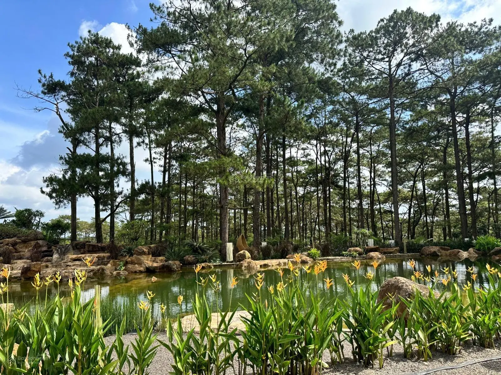 Không gian xanh mát, khí hậu an hoà. Mảnh đất phong thuỷ, thu hút tài lộc