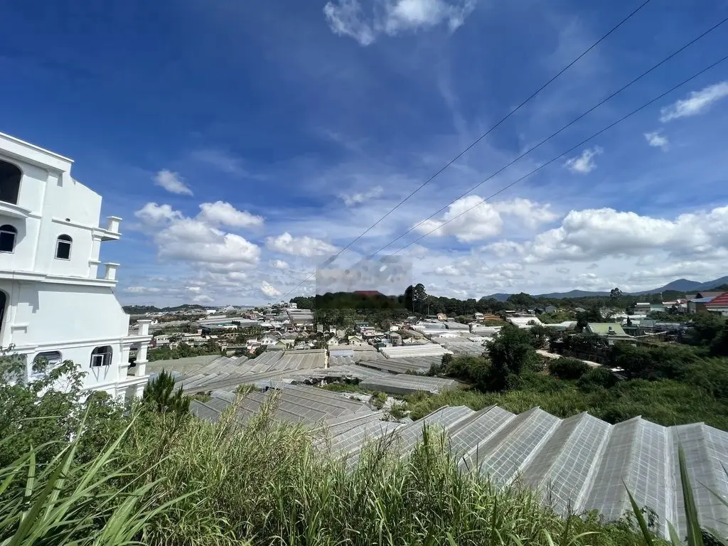 Bán 296m2 View cao thoáng giá 1tỷ800triệu đường PĐTV Phường 11 Đà Lạt