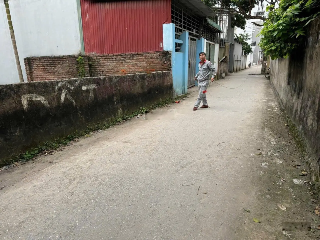 Chính chủ cần bán gấp 62m2 trục chính Tình lam, gần cầu đường thông ngõ oto, đầu tư sinh lời
