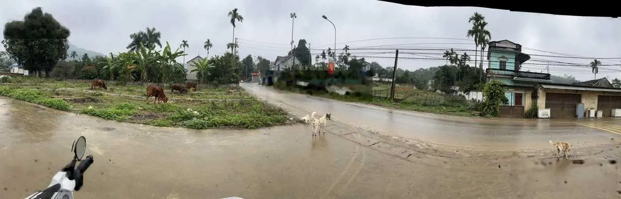 Bán 227,7m2 trục chính áp phan Phú Mãn giá đầu tư lô nhỏ xinh còn lại ở trục chính rẻ hơn trong ngõ