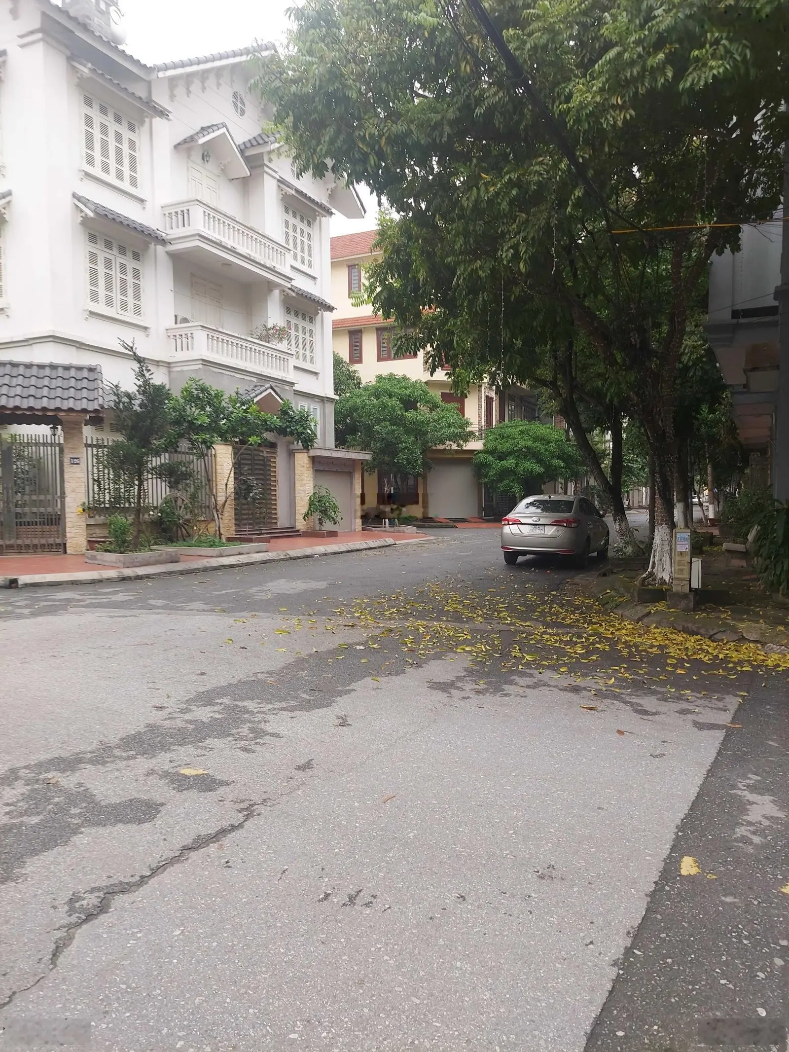 Bán biệt thự KĐT Trần Lãm - Thái Bình 225m2 - 3 tầng - Lô góc, giá 14.tỷ