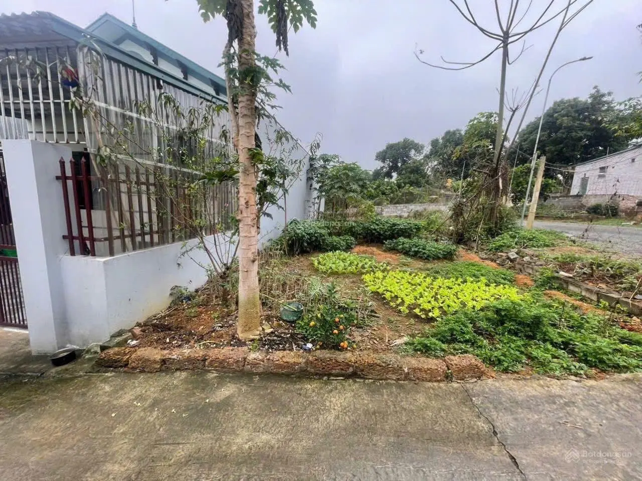 Cần bán lô đất S=121m2 (6,25m x 6,55m) giá đầu tư, đất vuông vắn, cách chợ, trường học (150m)