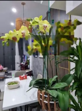 Bán nhà đẹp 3 tầng gần cầu ngã 3 Huế - bến xe