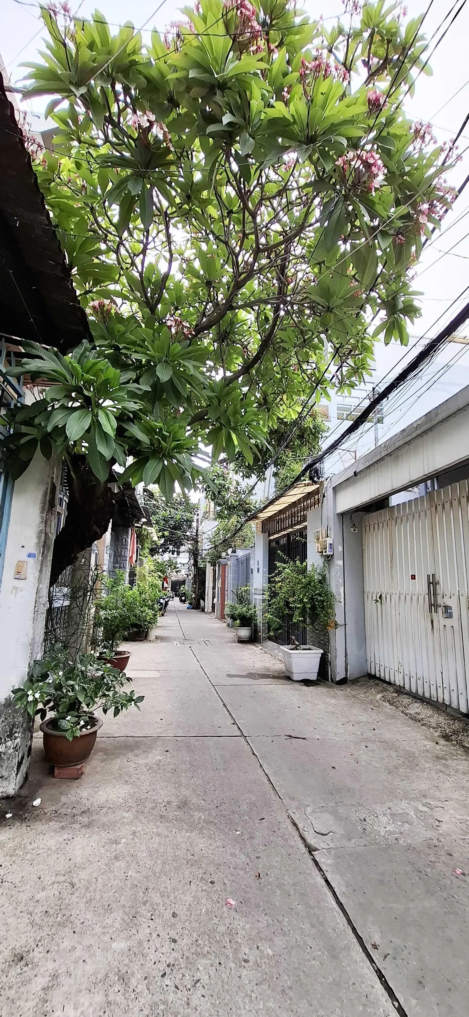 Khu nhà giàu Nguyễn Trọng Tuyển, 62m2, ngang 6m, tặng full nội thất, 7 tỷ nhỉnh