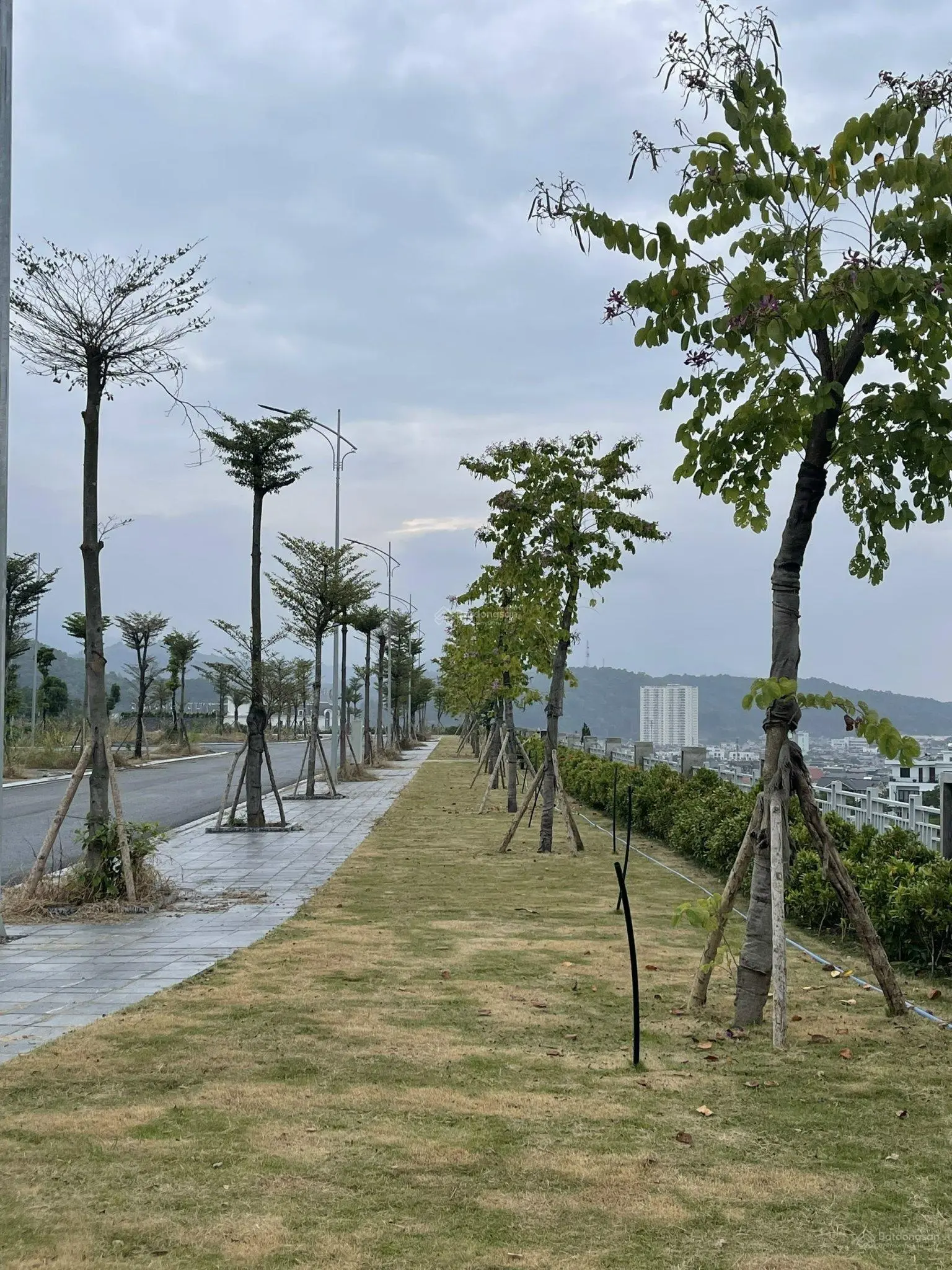 Chính chủ bán liền kề 85m2 giá rẻ TP Lào Cai. Ngay mặt phố Trần Hưng Đạo. LH 0983 291 ***