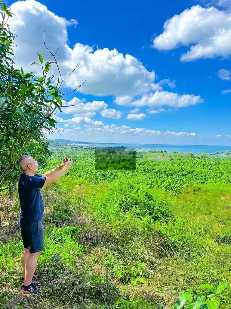 Bán đất 6.563m2 cây lâu năm mặt tiền đường bê tông 82m view hồ Trị An