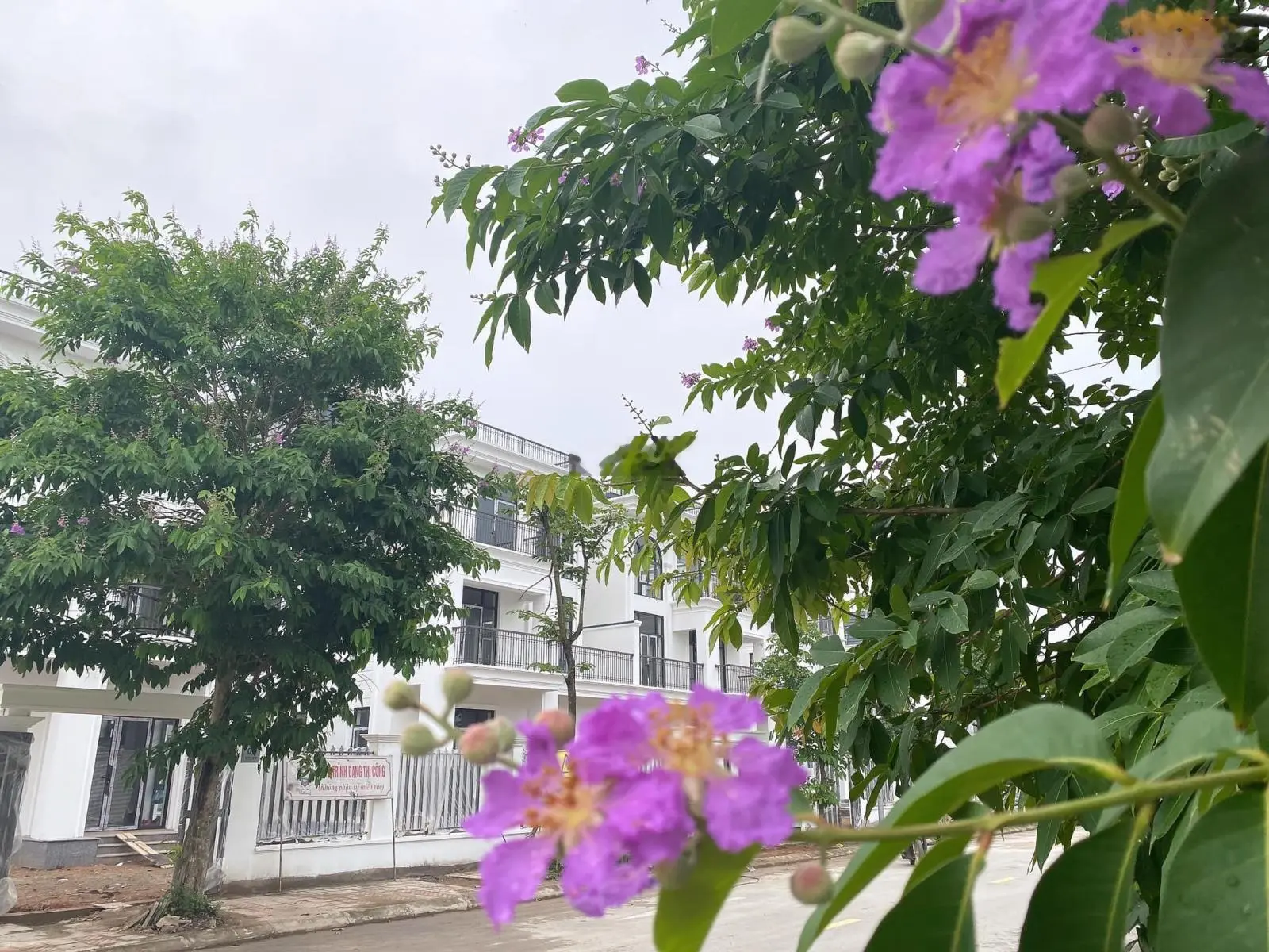 Duy nhất 1 căn biệt thự đơn lập 375m2, giá chỉ 50tr/m2 tại HUD Mê Linh Central. LH 0943 757 ***