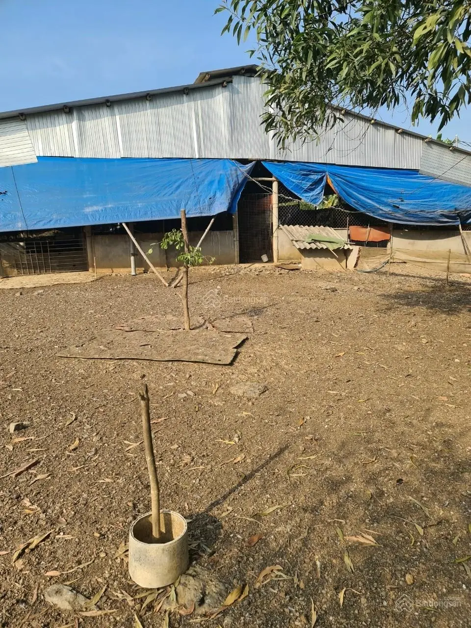 Bán đất trang trại xã Sông Trầu, Trảng Bom, Đồng Nai giá bán, có 2 nhà cấp 4, 2 dãy chuồng