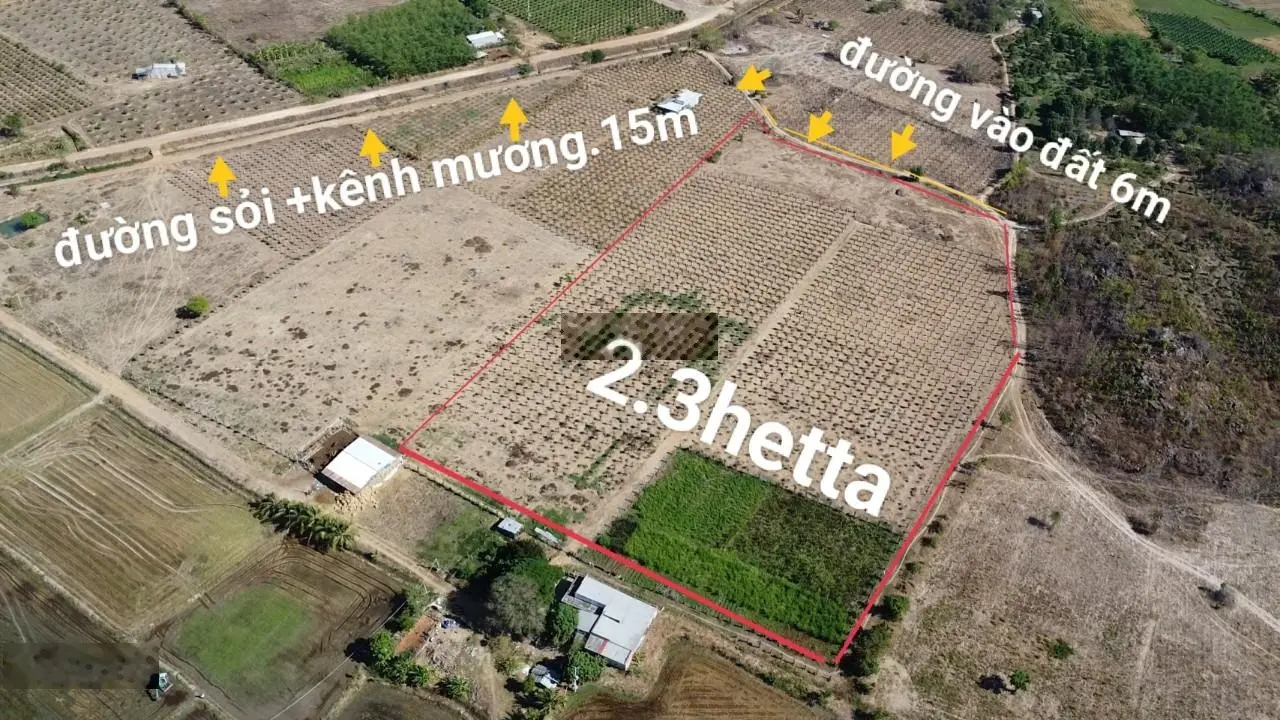 Chủ quá kẹt tiền, bán lỗ 2,3ha đất vườn, sổ đỏ riêng, ngay kênh nước, oto tới đất, 75.000 đồng/m2