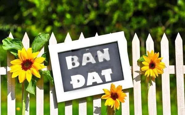 Cần bán gấp đất mặt tiền vị trí đẹp Phường 1