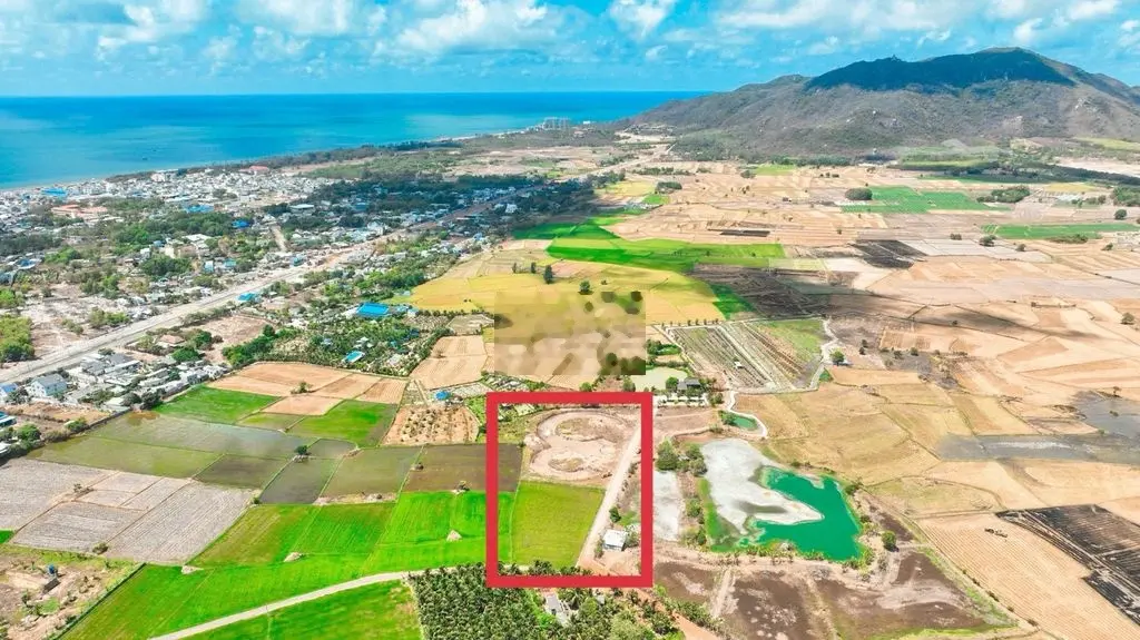 BÁN ĐẤT THỊ TRẤN PHƯỚC HẢI ĐẤT ĐỎ BÀ RỊA VŨNG TÀU
