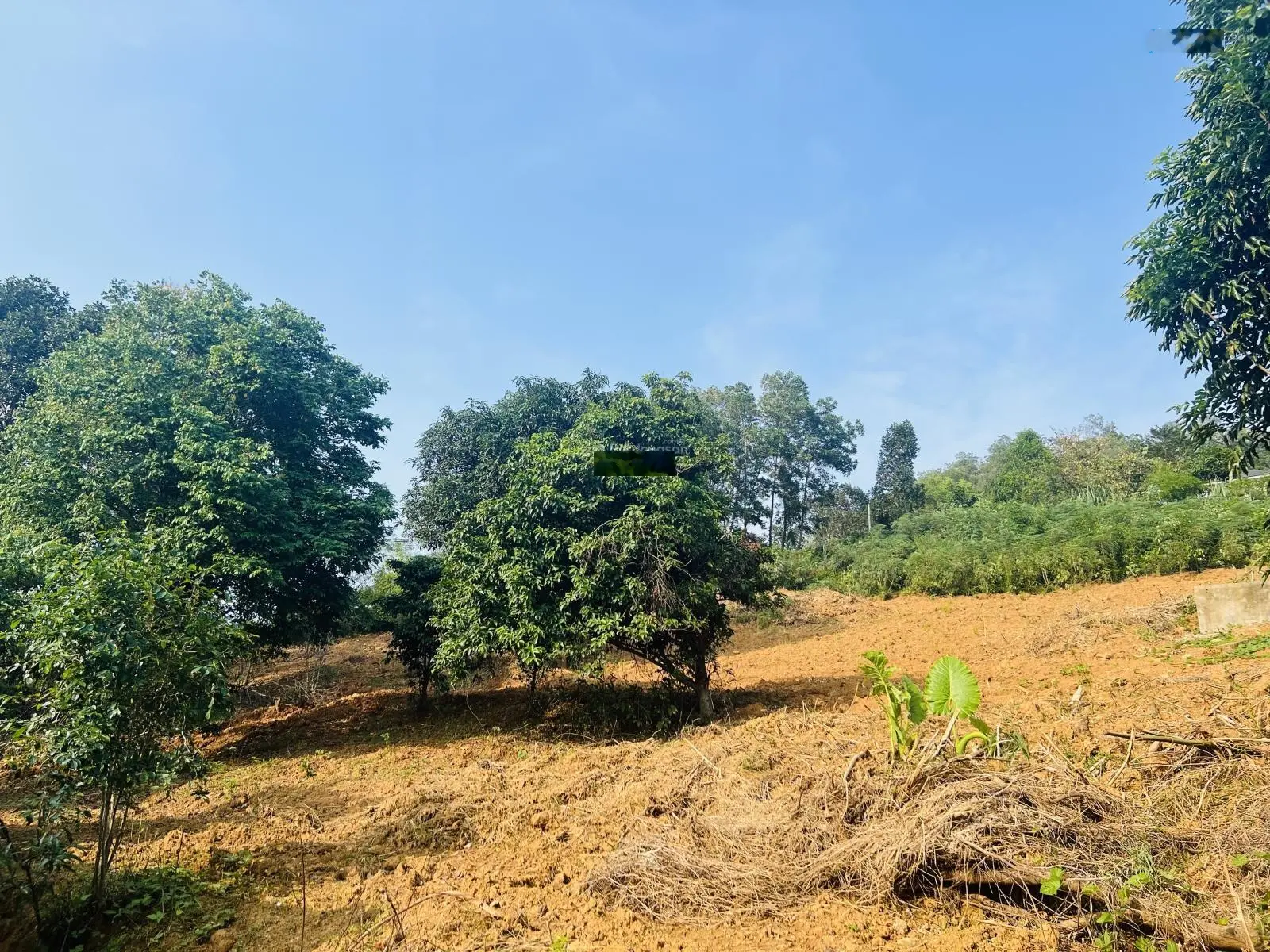 Cần chuyển nhượng 4250m2 có 800m2 thổ cư tại Vân Hoà, Ba Vì, Hà Nội
