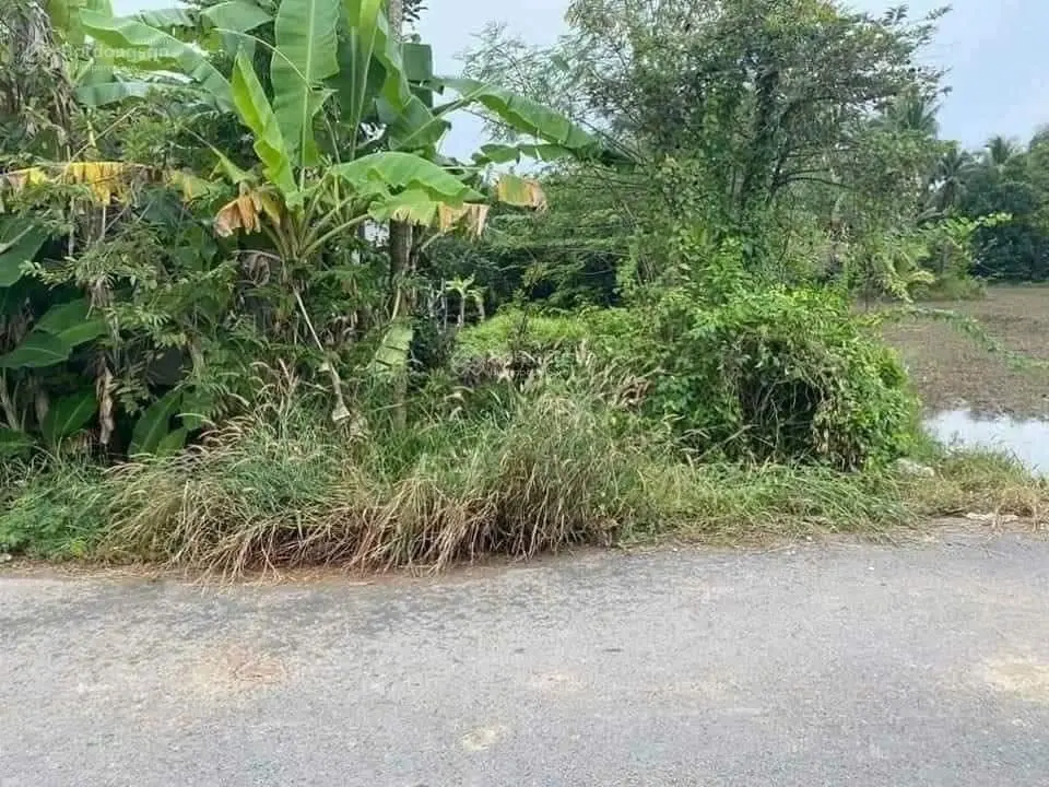 Đất thổ cư mặt tiền đường nhựa 158m2, cách chợ Long Thuận 100m ngay đường Nguyễn Thìn, SHR