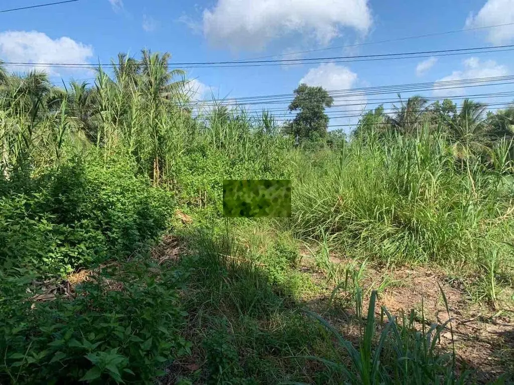 BÁN ĐẤT MẶT TIỀN ĐƯỜNG 19/5 CẠNH KHU ĐÔNG Á