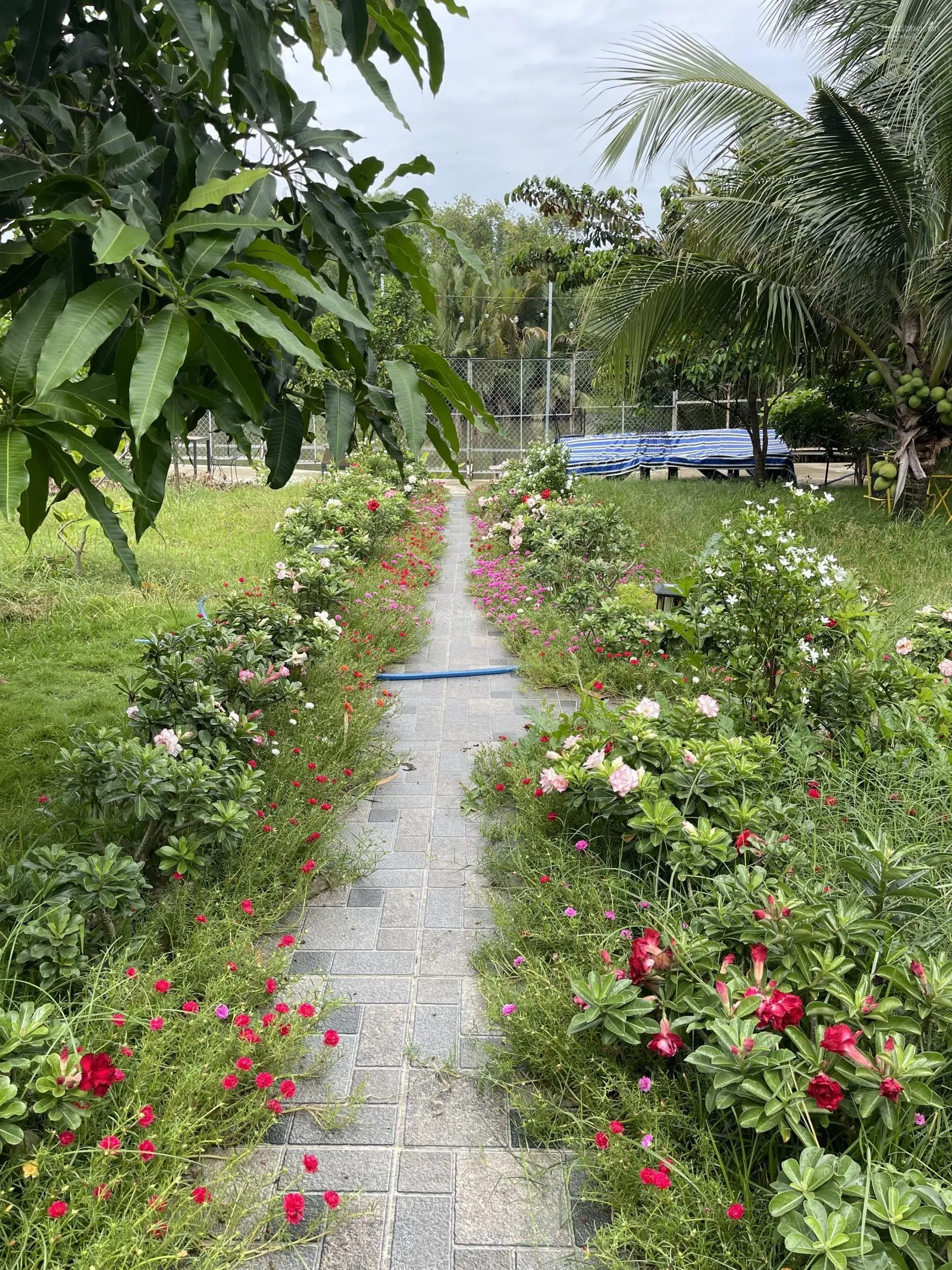 Bán gấp nhà vườn 685 m2, (178m tc)đối diện Vinhomes, Nguyễn Xiển, p Long Thạnh Mỹ, Q9, HCM, 13,5 tỷ