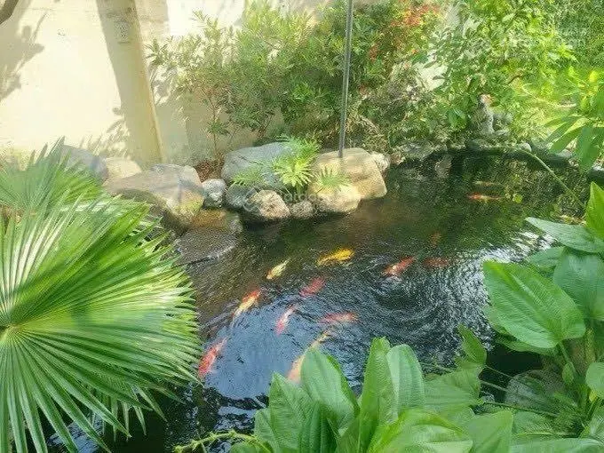 Bán nhà vườn gần ngay trung tâm giá rẻ
