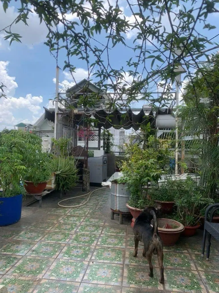Bán nhà Tân Thới Hiệp 21 Quận 12 - 11 phòng 195m2 chỉ 6.2 tỷ