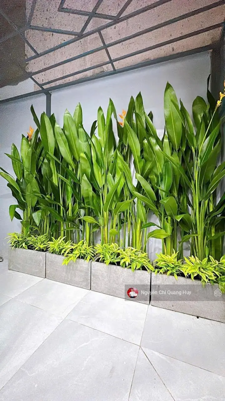Nhà Phố hiện đại đường 10m 95 Lê Văn Lương- Cách 300m ra Lotte - Tôn Đức Thắng-5m x 20m Giá 11,4 tỷ