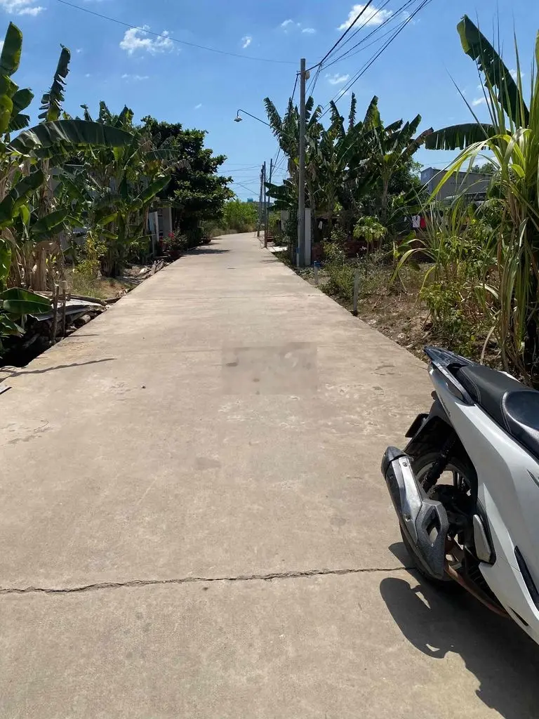 ĐẤT NỀN FULL THỔ SÁT VÀNH ĐAI 3