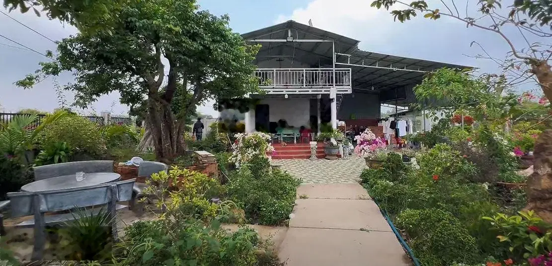 Hết vốn làm ăn bán ra căn nhà vườn hơn 1000m2 sẵn 100m2 thổ cư 2 mặt tền tại Đá Bạc, Châu Đức